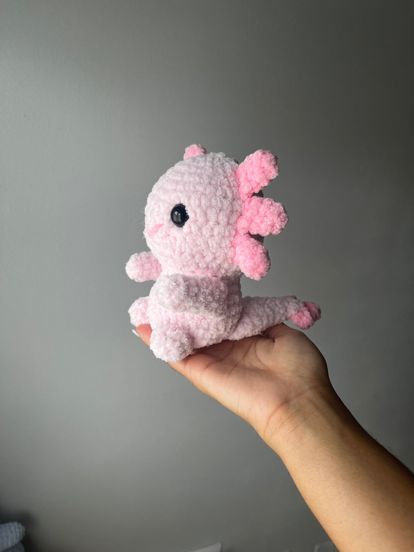 Axolotl